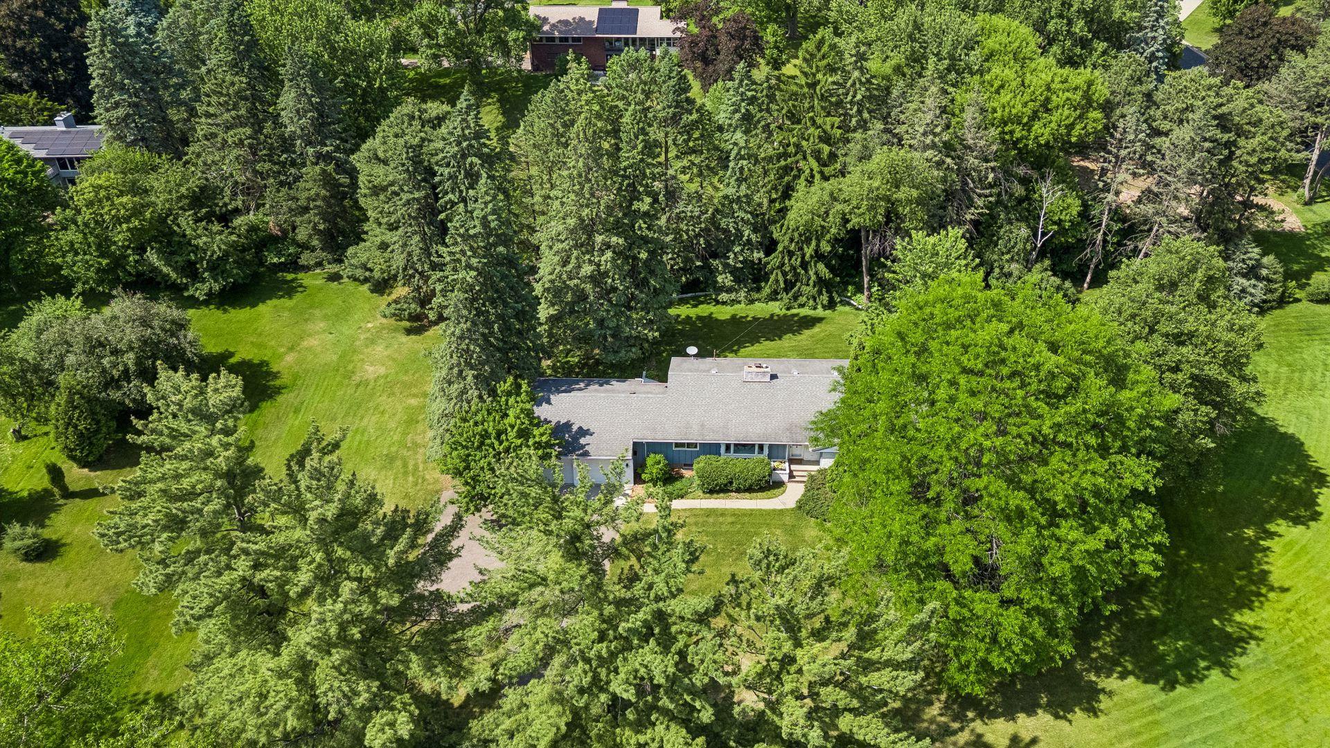 Set amidst towering trees and abundant greenery, the home blends seamlessly with nature