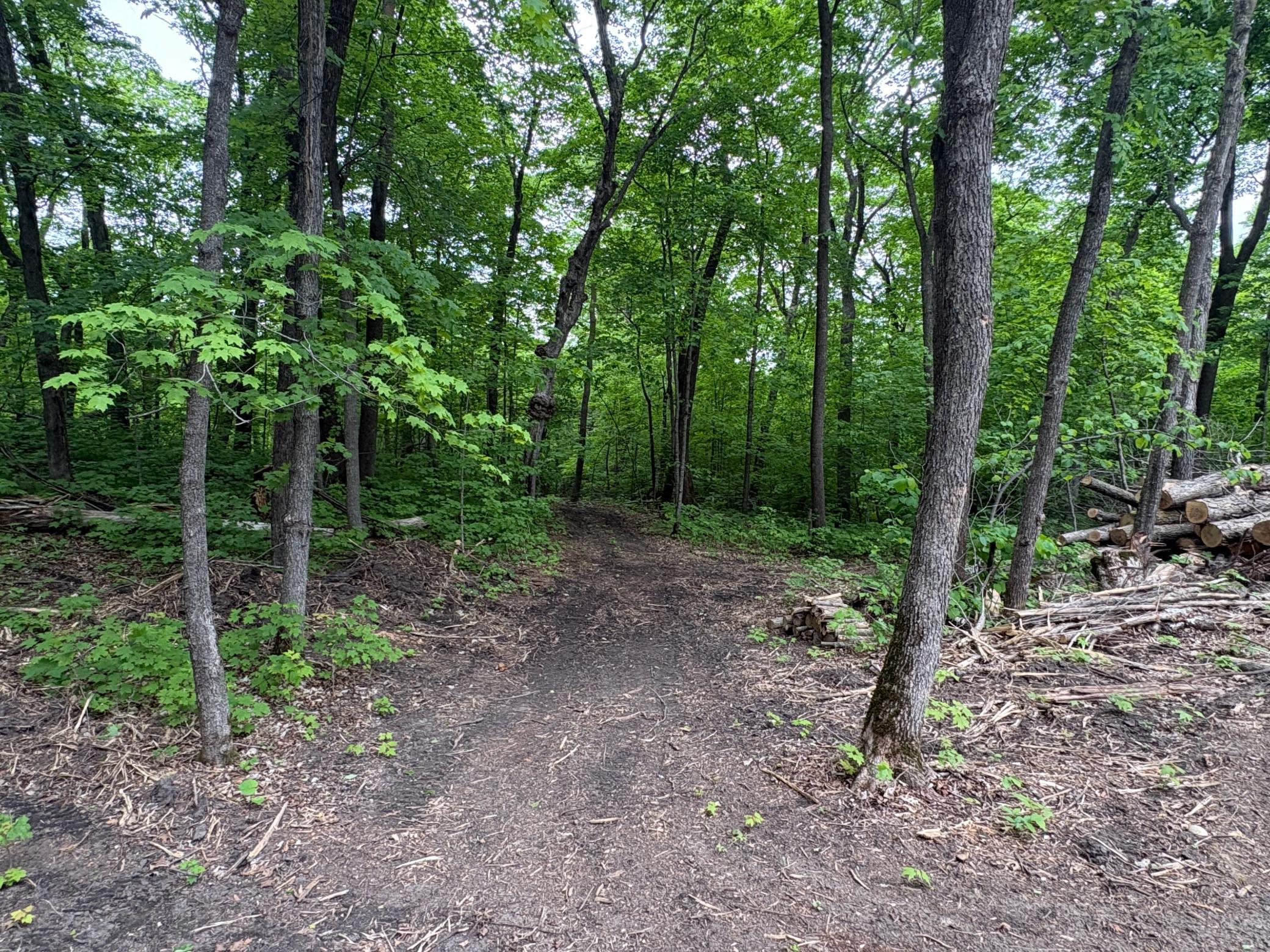 Photo 26