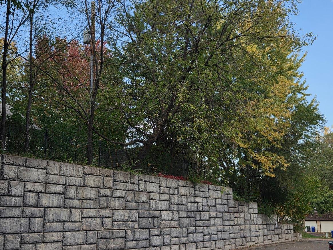 Fall 20261012_170736.jpg