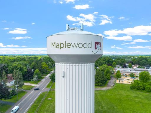 1010 Ferndale Street N, Maplewood, MN 55119