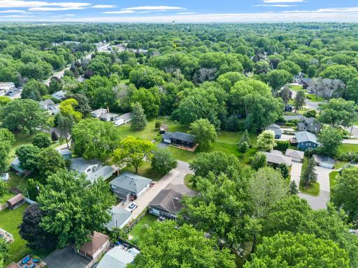 Surrounding Neighborhood- View from the West