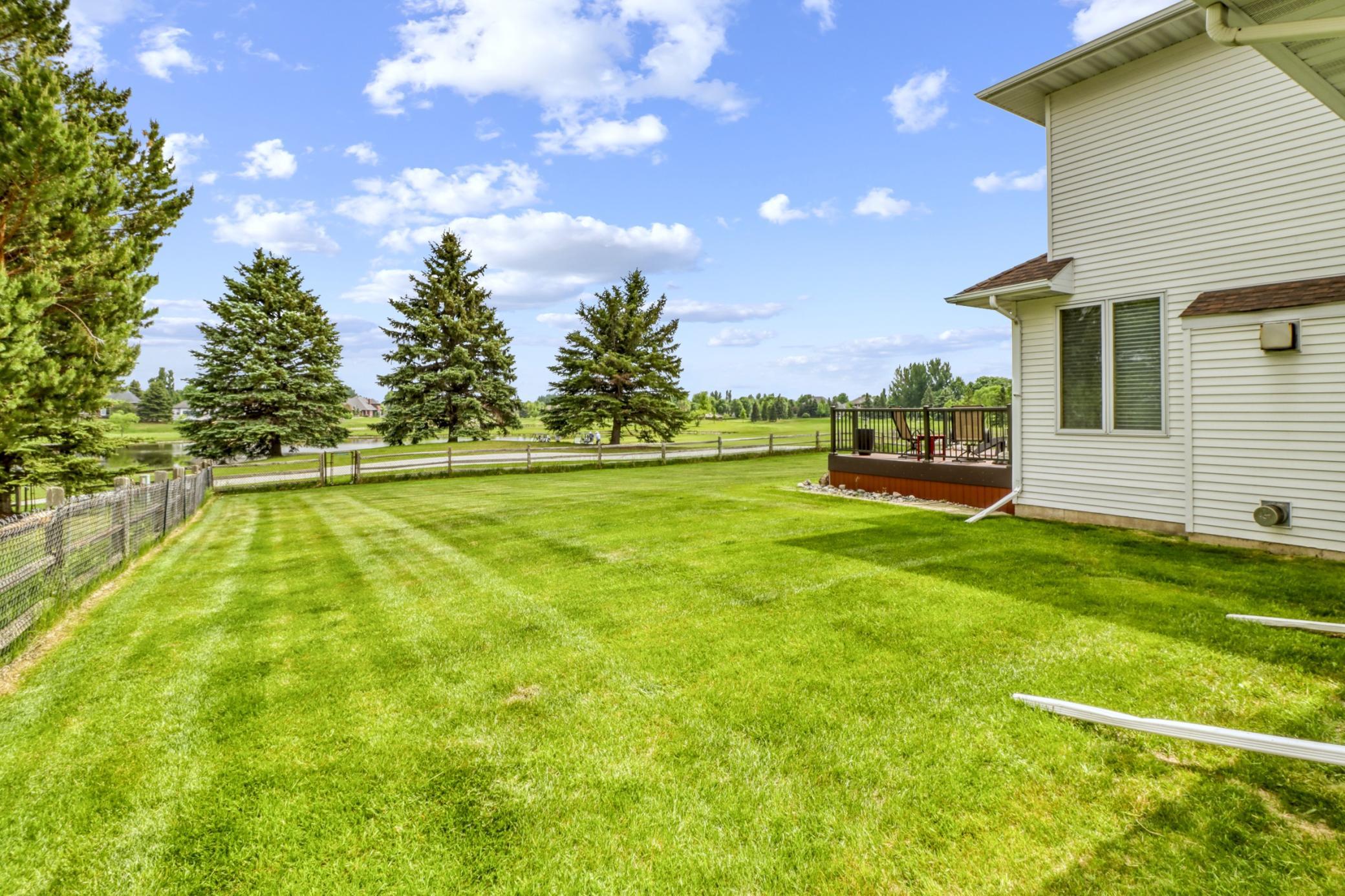 Backyard1_3.JPG