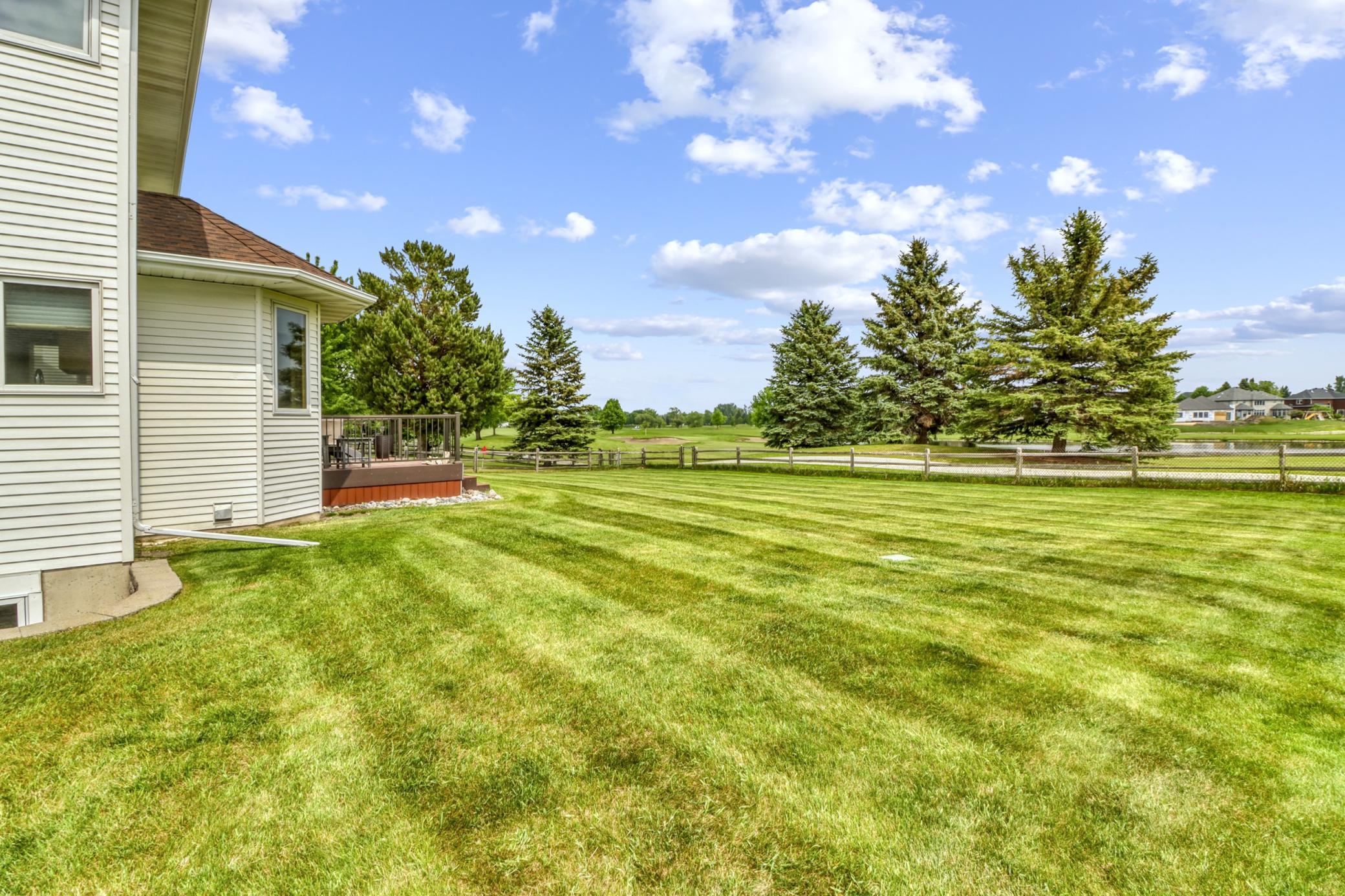 Backyard1_1.JPG
