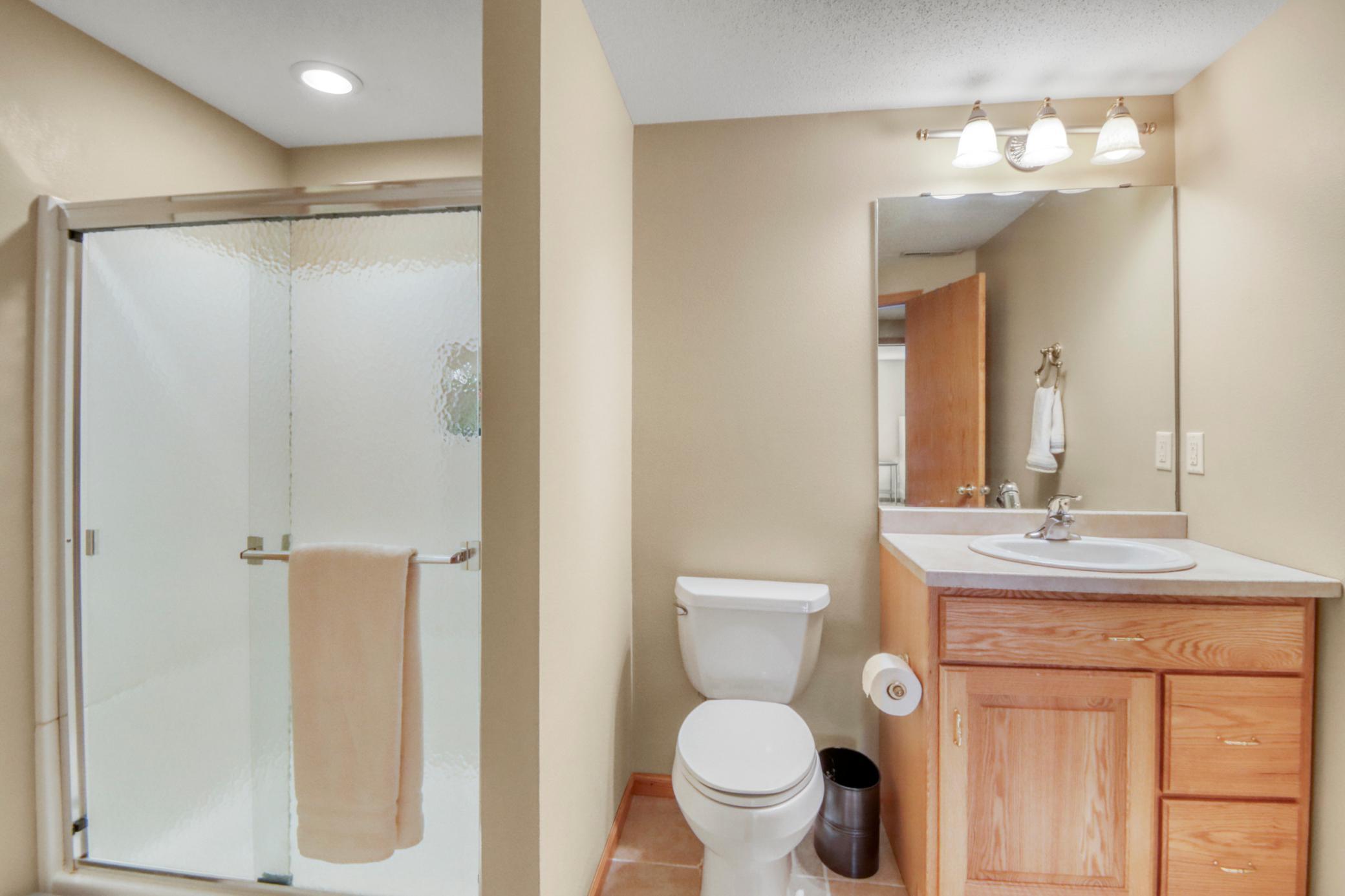 Basement Bathroom1_1.JPG