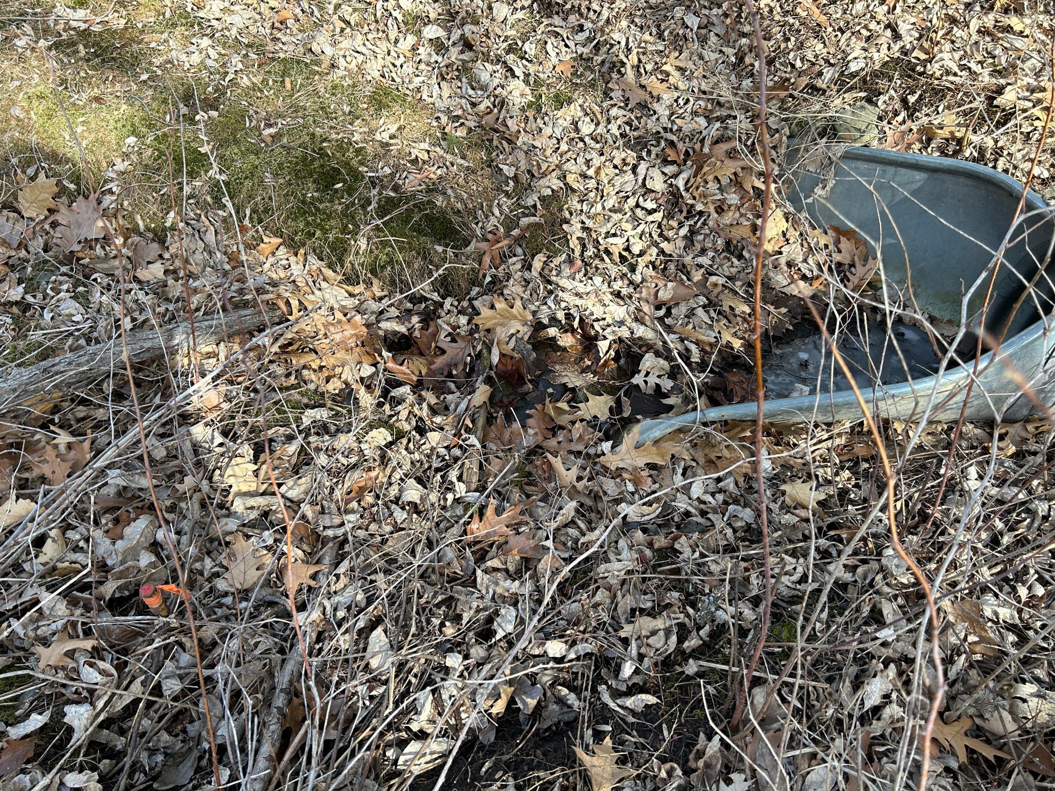 A closer look at the culvert showing a survey stake just to the left of the culvert opening.