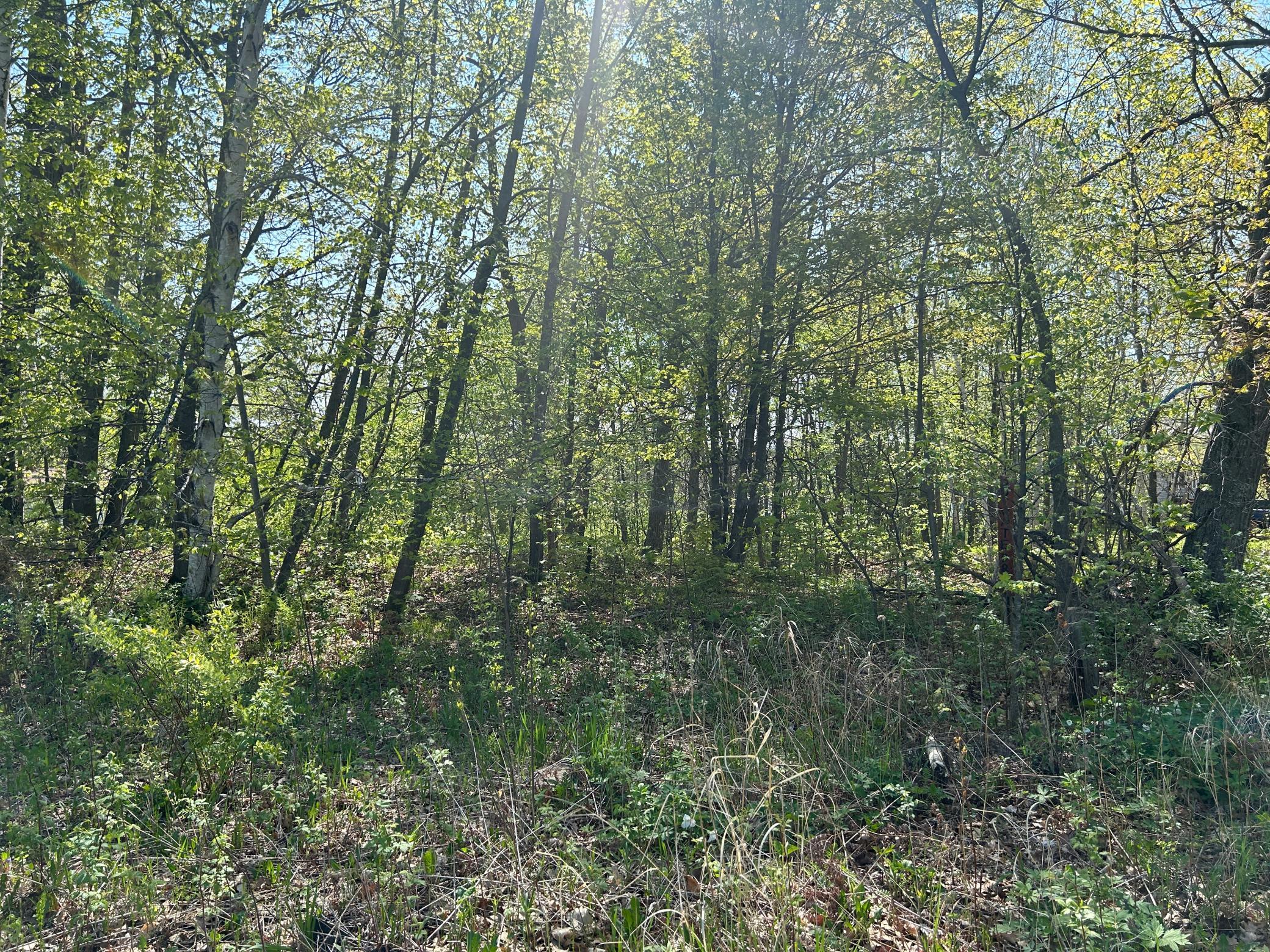Wooded lot views...