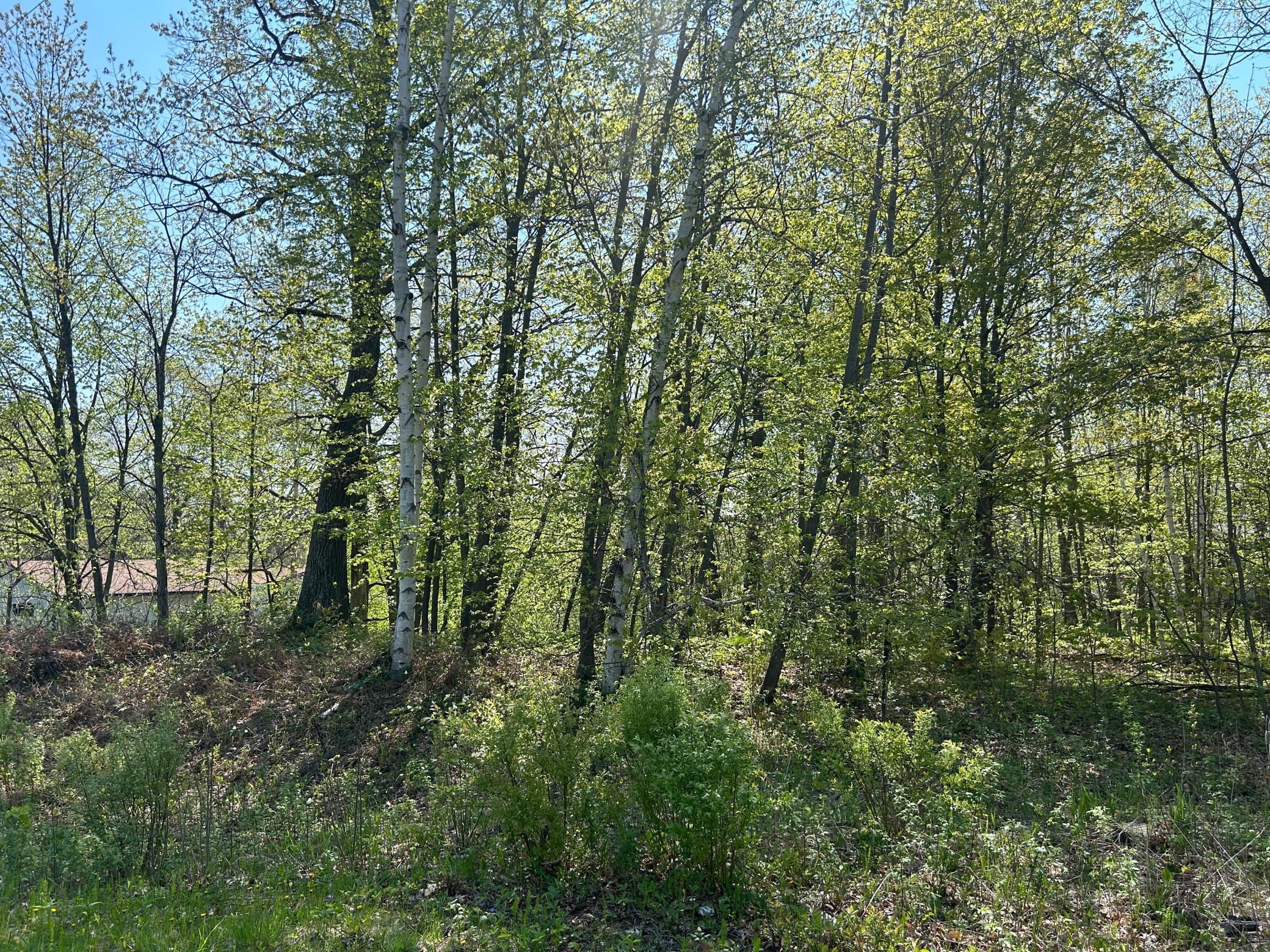 A view when standing on road looking into the lot.