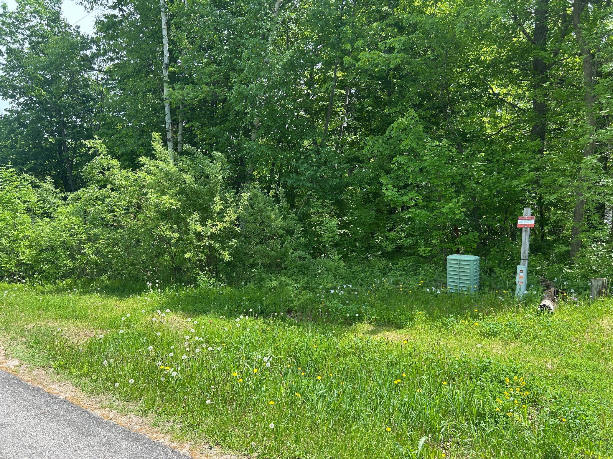 Edge of lot view