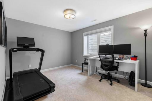 Basement bedroom #4 with walk-in closet