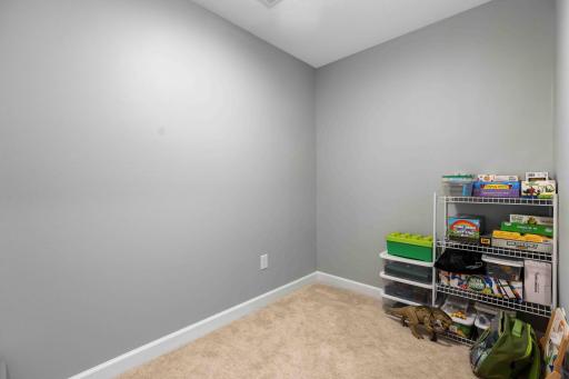 Basement bedroom w/walk-in closet