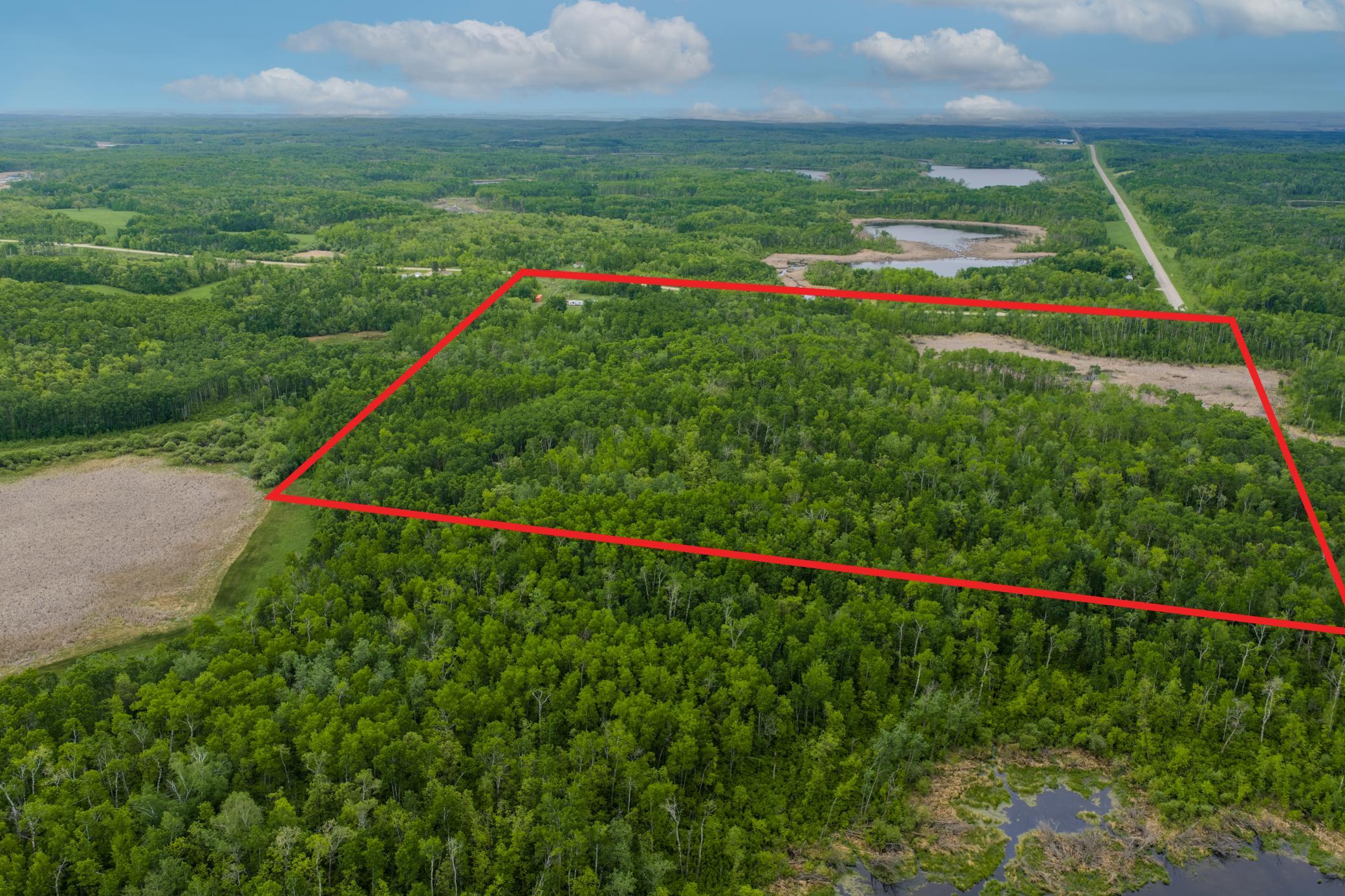 3619 Belcourt 14 approx boundary.jpg