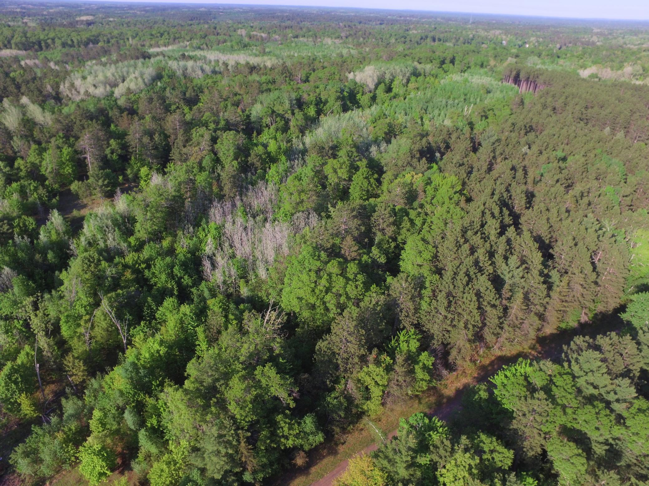 DJI_0043.JPG