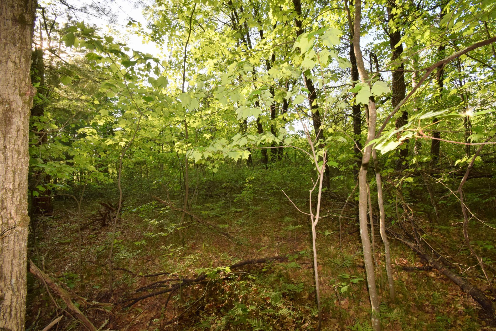 DSC_0036.JPG