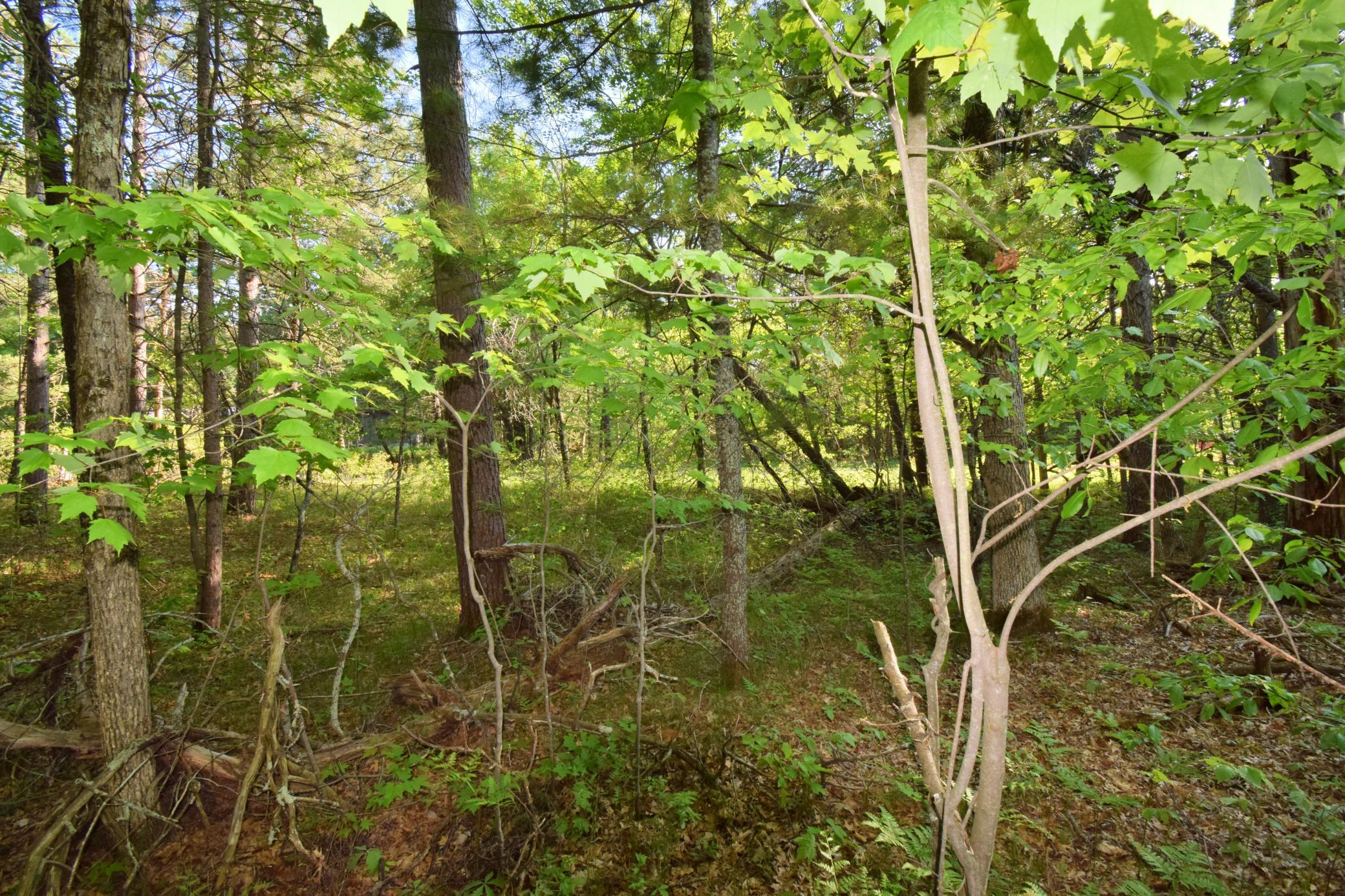 DSC_0040.JPG