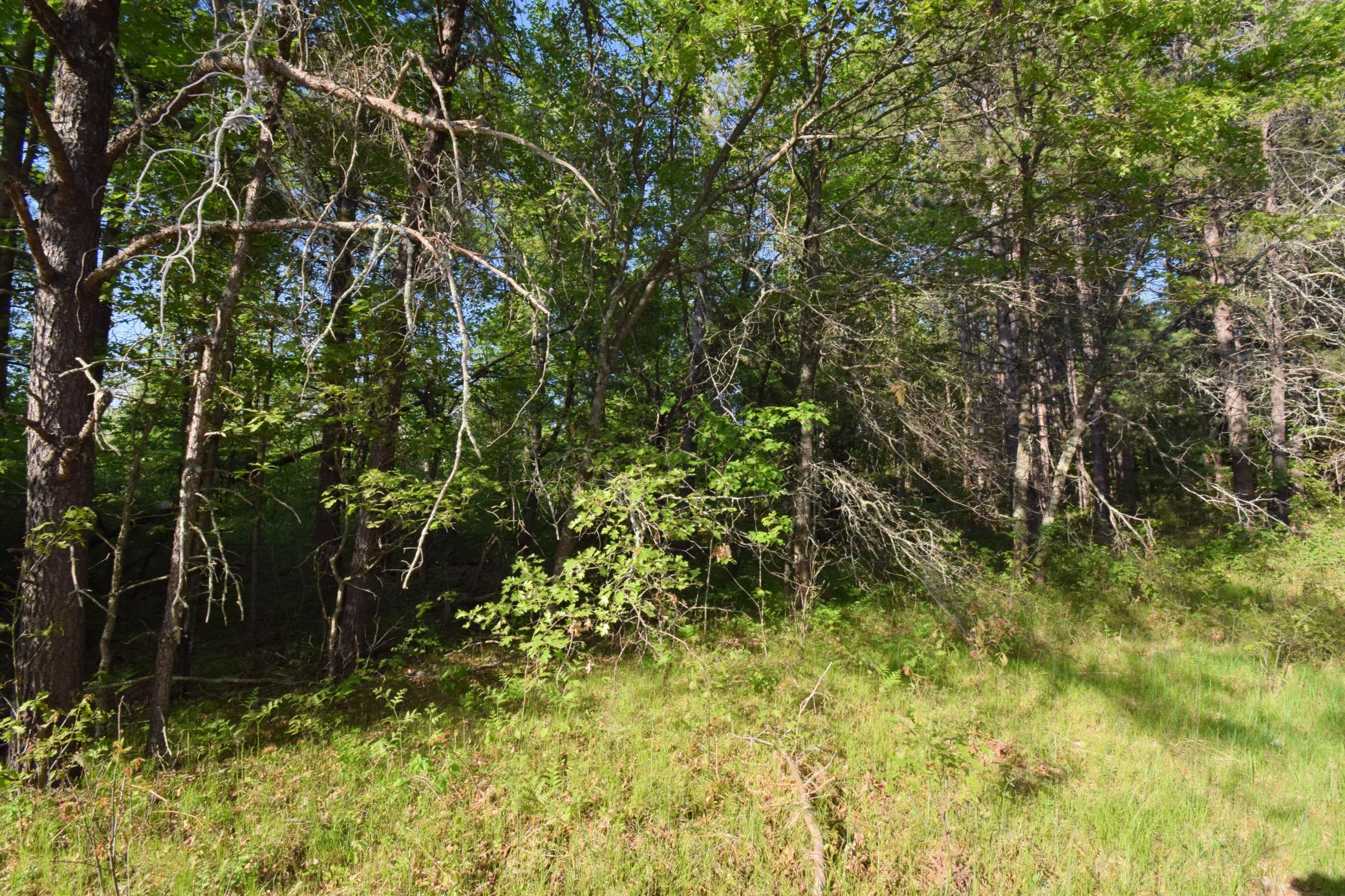 DSC_0029.JPG