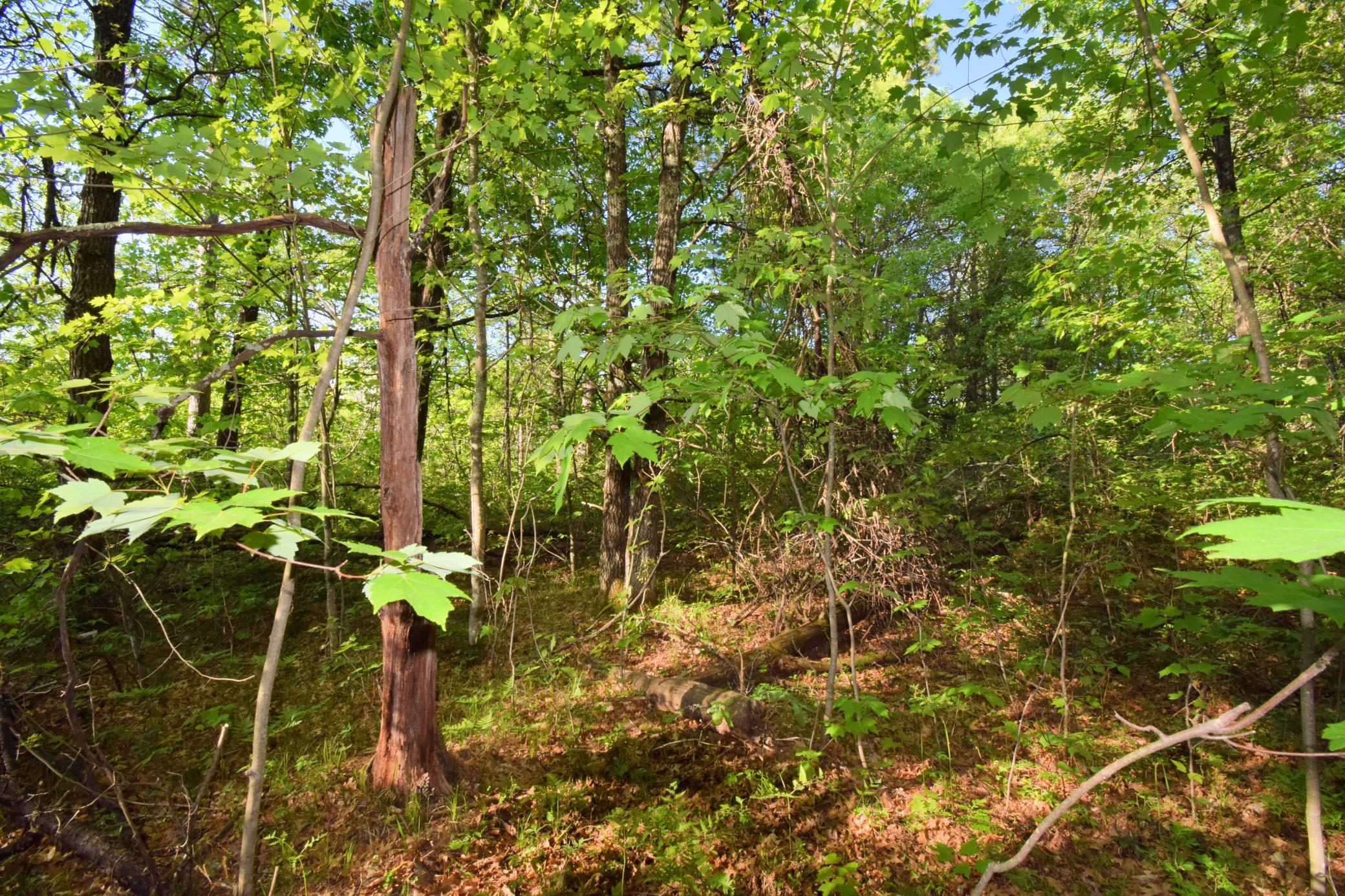 DSC_0037.JPG