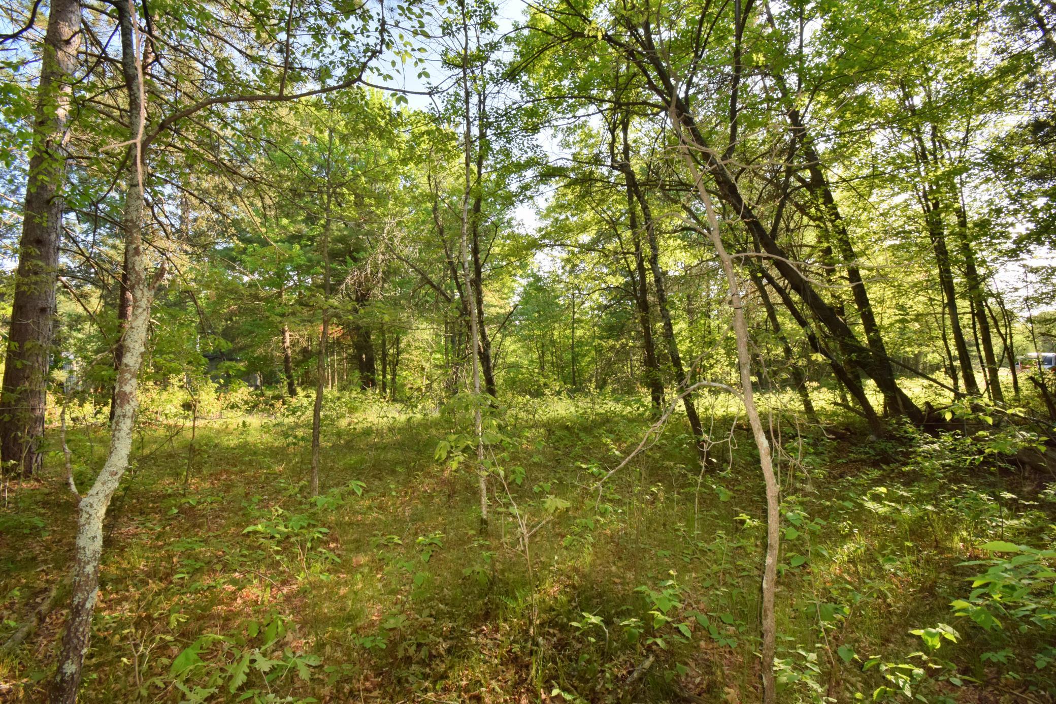 DSC_0042.JPG