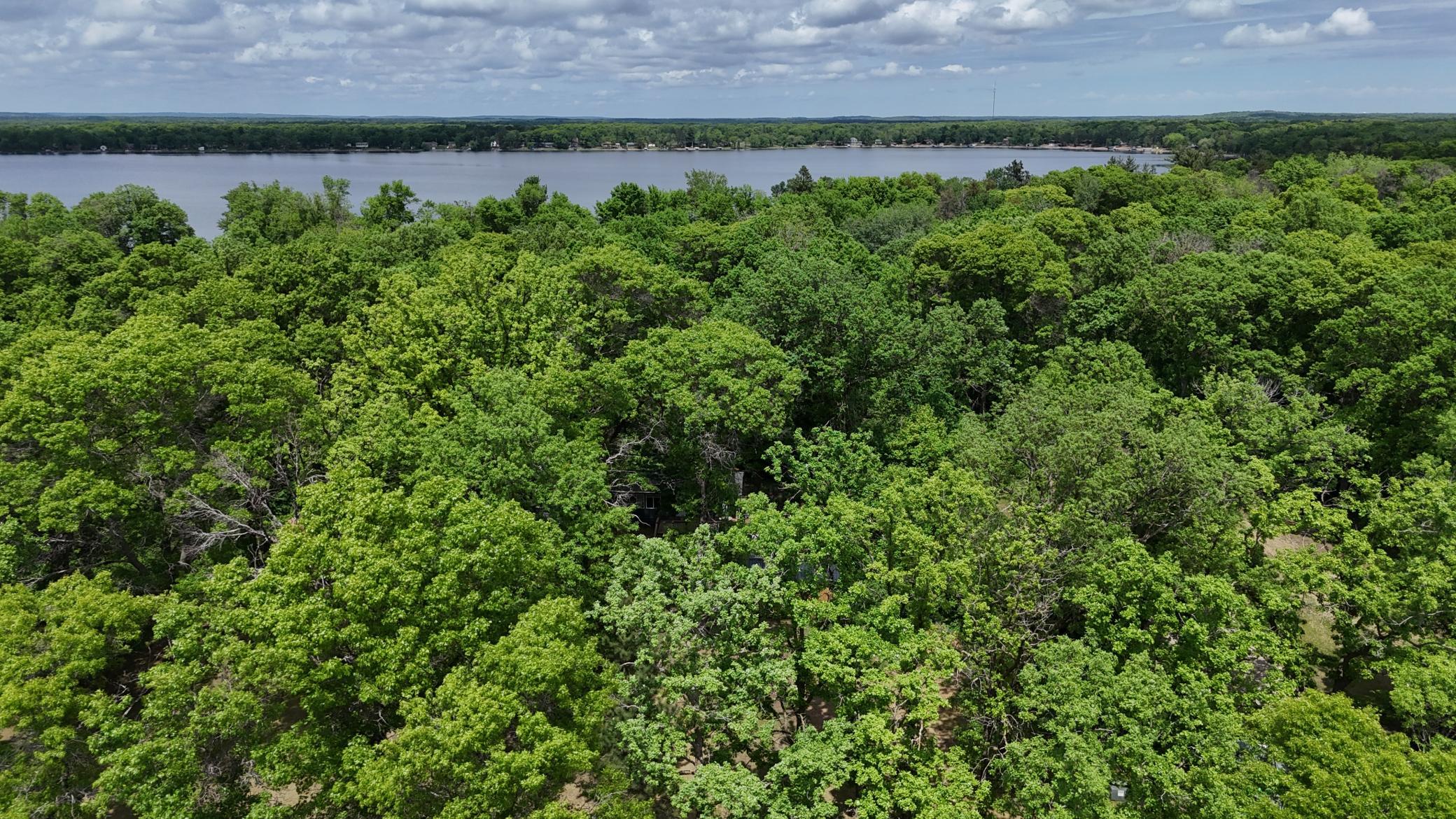 dji_fly_20260601_133204_0564_1780496236119_photo.JPG