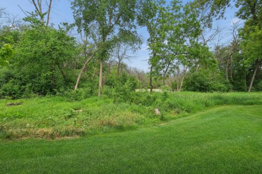 Backyard featuring lush green lawn, mature trees, and pond view in the distance.