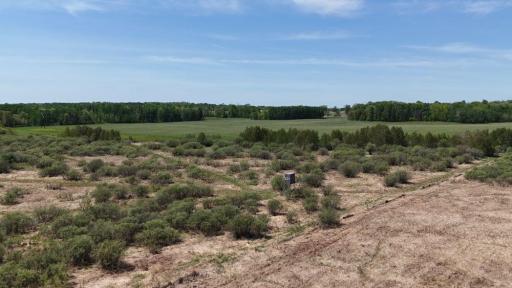 45964 County Highway 36, Frazee, MN 56544