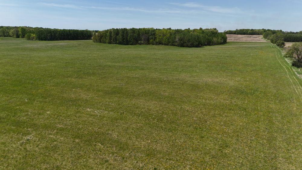 DJI_20260528121621_0120_D.JPG