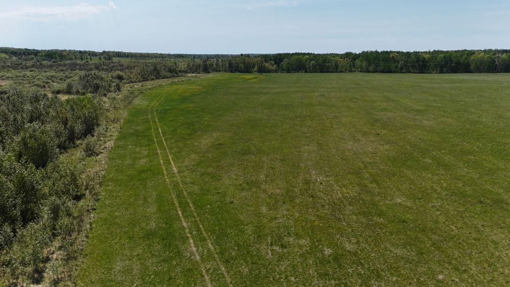 DJI_20260528121625_0121_D.JPG