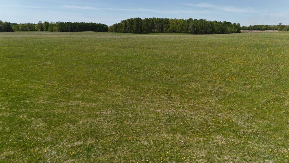 DJI_20260528121615_0119_D.JPG
