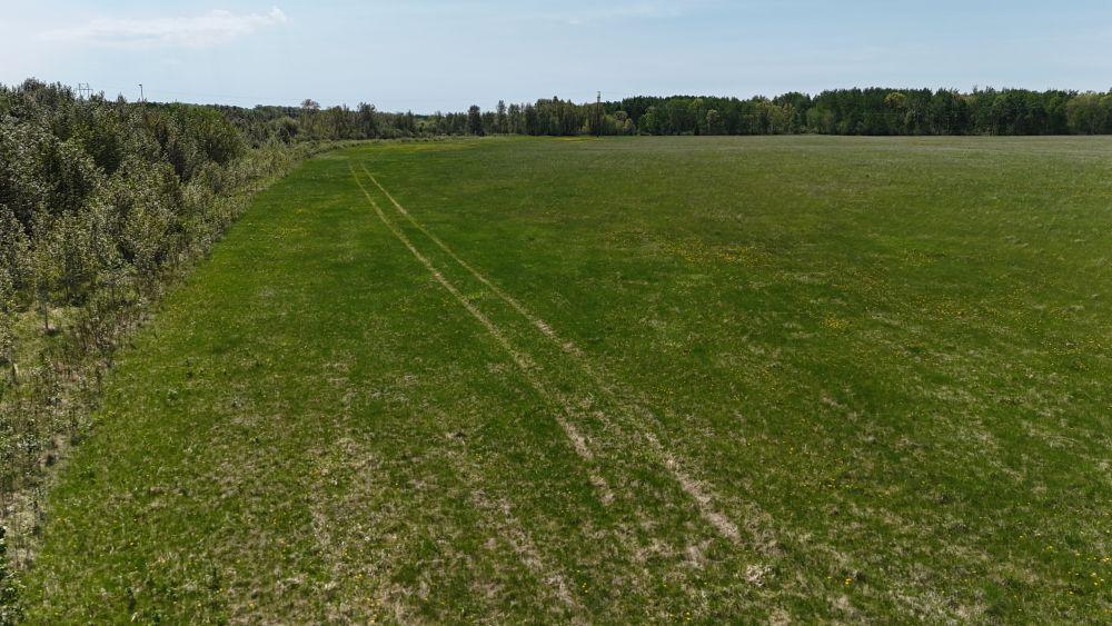 DJI_20260528121610_0118_D.JPG