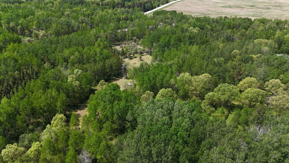 DJI_20260528123231_0154_D.JPG