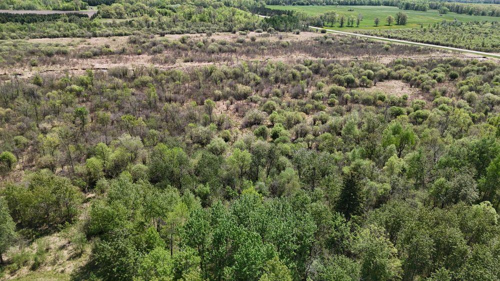 DJI_20260528123053_0151_D.JPG
