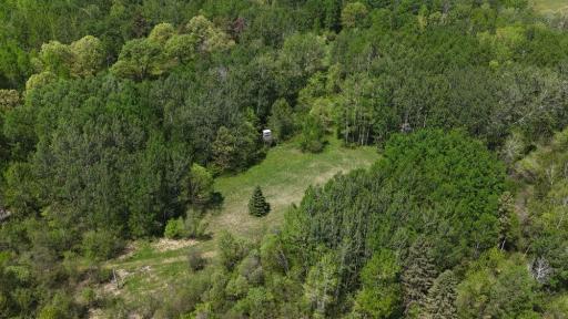 45964 County Highway 36, Frazee, MN 56544
