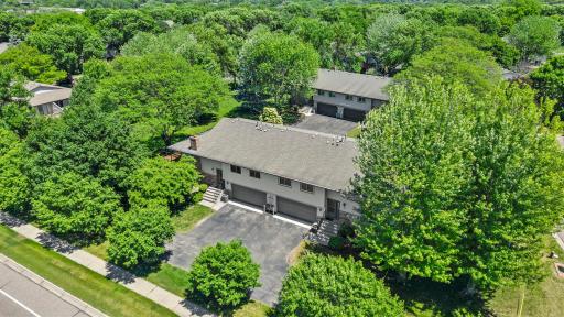This Homesite Is Surrounded In A Mini Forest
