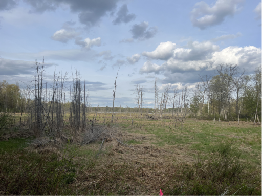 13384 Sorenson Lake Road, Merrifield, MN 56465