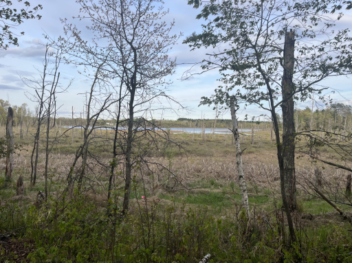 13384 Sorenson Lake Road, Merrifield, MN 56465