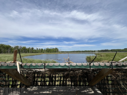 13384 Sorenson Lake Road, Merrifield, MN 56465