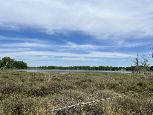 13384 Sorenson Lake Road, Merrifield, MN 56465