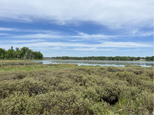 13384 Sorenson Lake Road, Merrifield, MN 56465