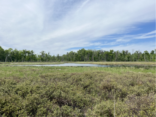 13384 Sorenson Lake Road, Merrifield, MN 56465