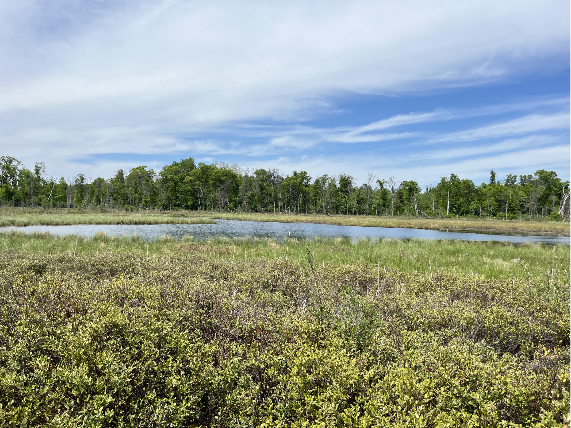 Property photo for 13384 Sorenson Lake Road, Merrifield, MN 56465