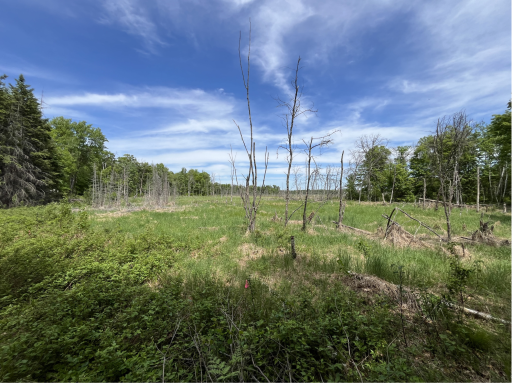 13384 Sorenson Lake Road, Merrifield, MN 56465