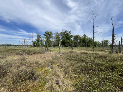 13384 Sorenson Lake Road, Merrifield, MN 56465