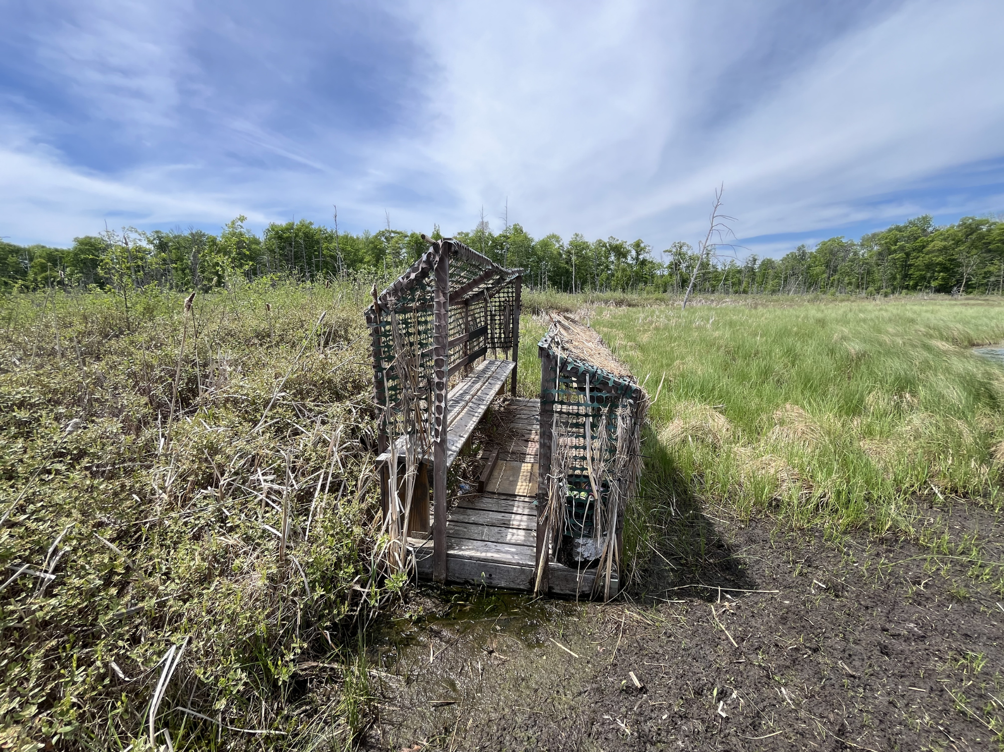Duck blind