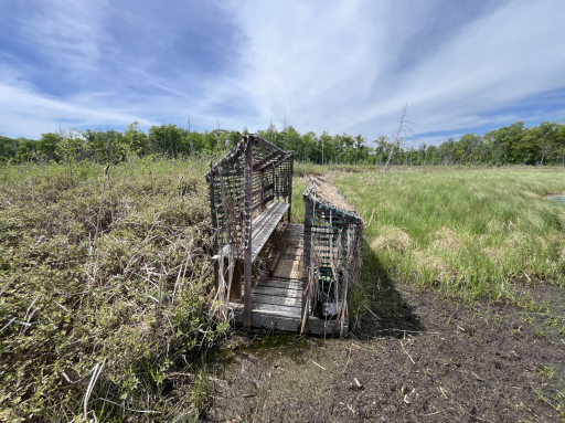 13384 Sorenson Lake Road, Merrifield, MN 56465