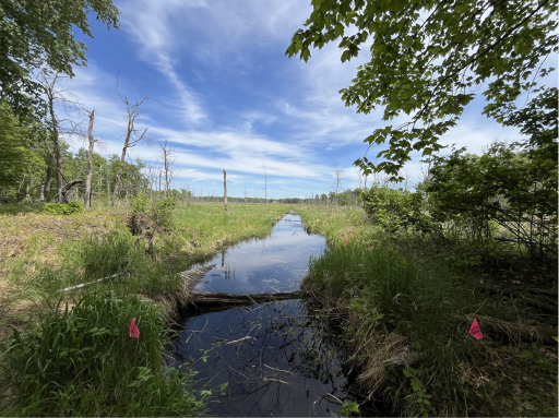 13384 Sorenson Lake Road, Merrifield, MN 56465