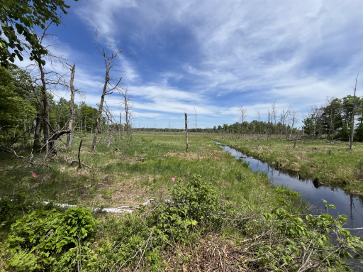 13384 Sorenson Lake Road, Merrifield, MN 56465