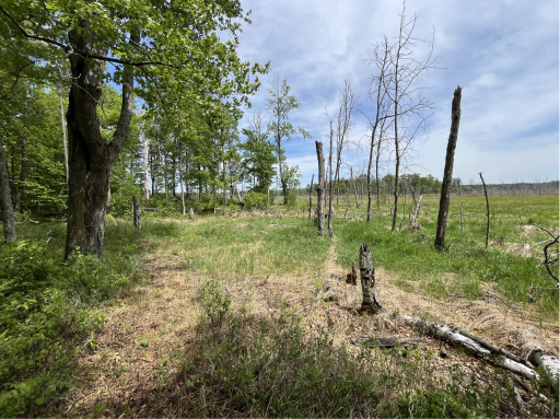 13384 Sorenson Lake Road, Merrifield, MN 56465