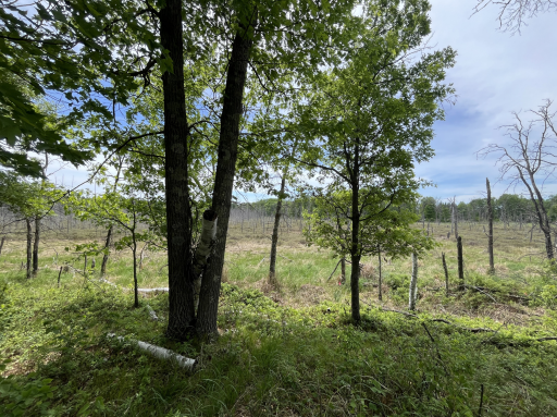 13384 Sorenson Lake Road, Merrifield, MN 56465