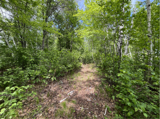 13384 Sorenson Lake Road, Merrifield, MN 56465