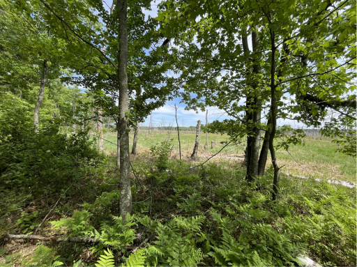 13384 Sorenson Lake Road, Merrifield, MN 56465