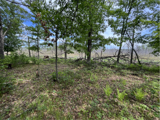 13384 Sorenson Lake Road, Merrifield, MN 56465